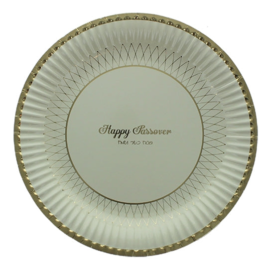 Passover Paper Plate